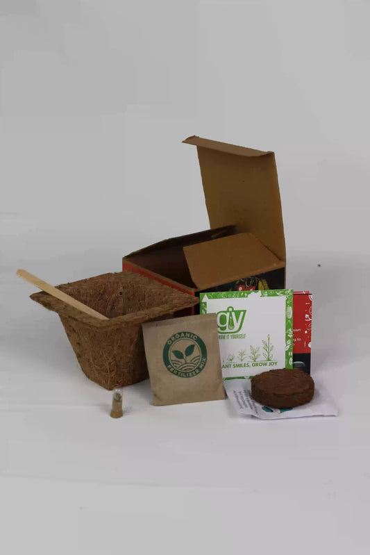 Grow Solo Square SQ Planting Kit