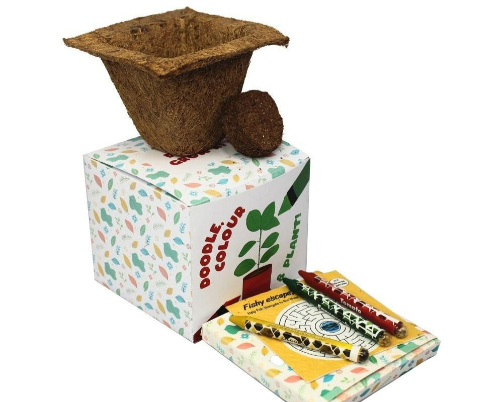Doodle Grow KIT