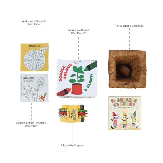 Doodle Grow KIT